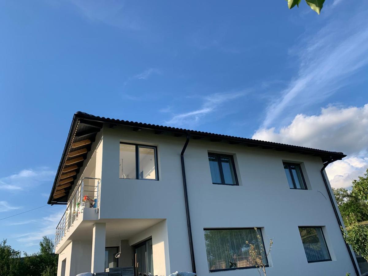 Viktoria House Villa Odorheiu Secuiesc Exterior photo