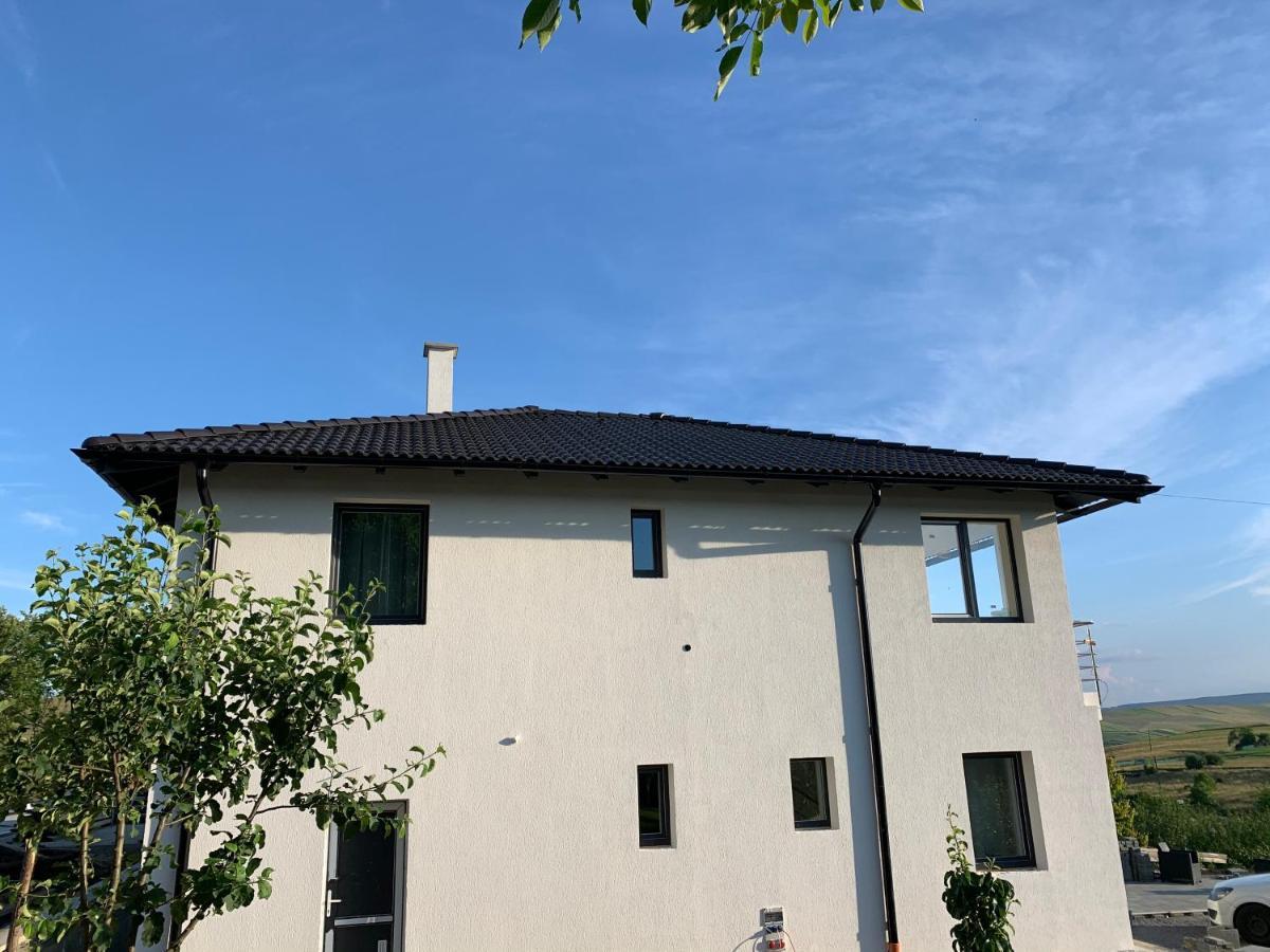 Viktoria House Villa Odorheiu Secuiesc Exterior photo