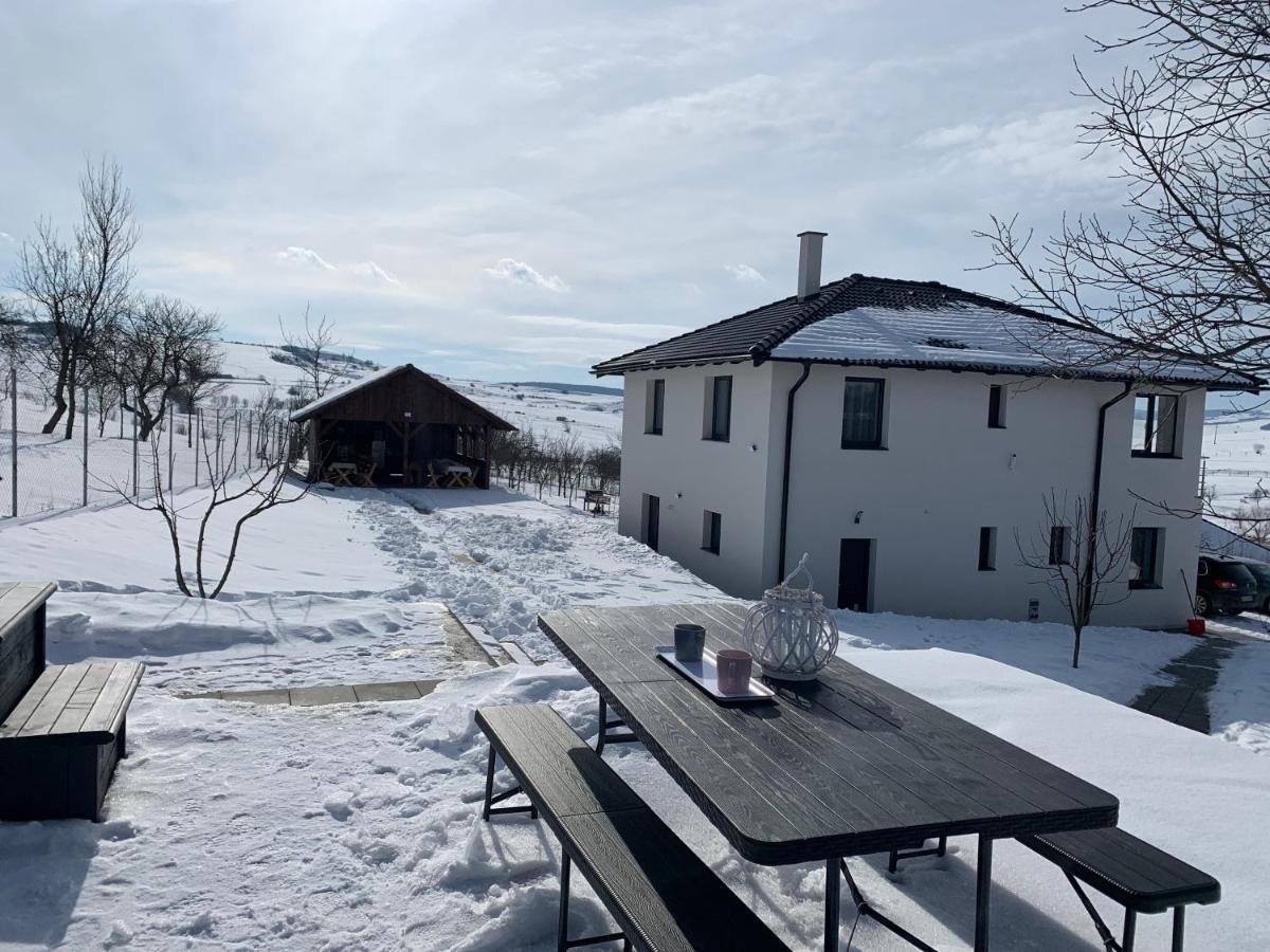 Viktoria House Villa Odorheiu Secuiesc Exterior photo