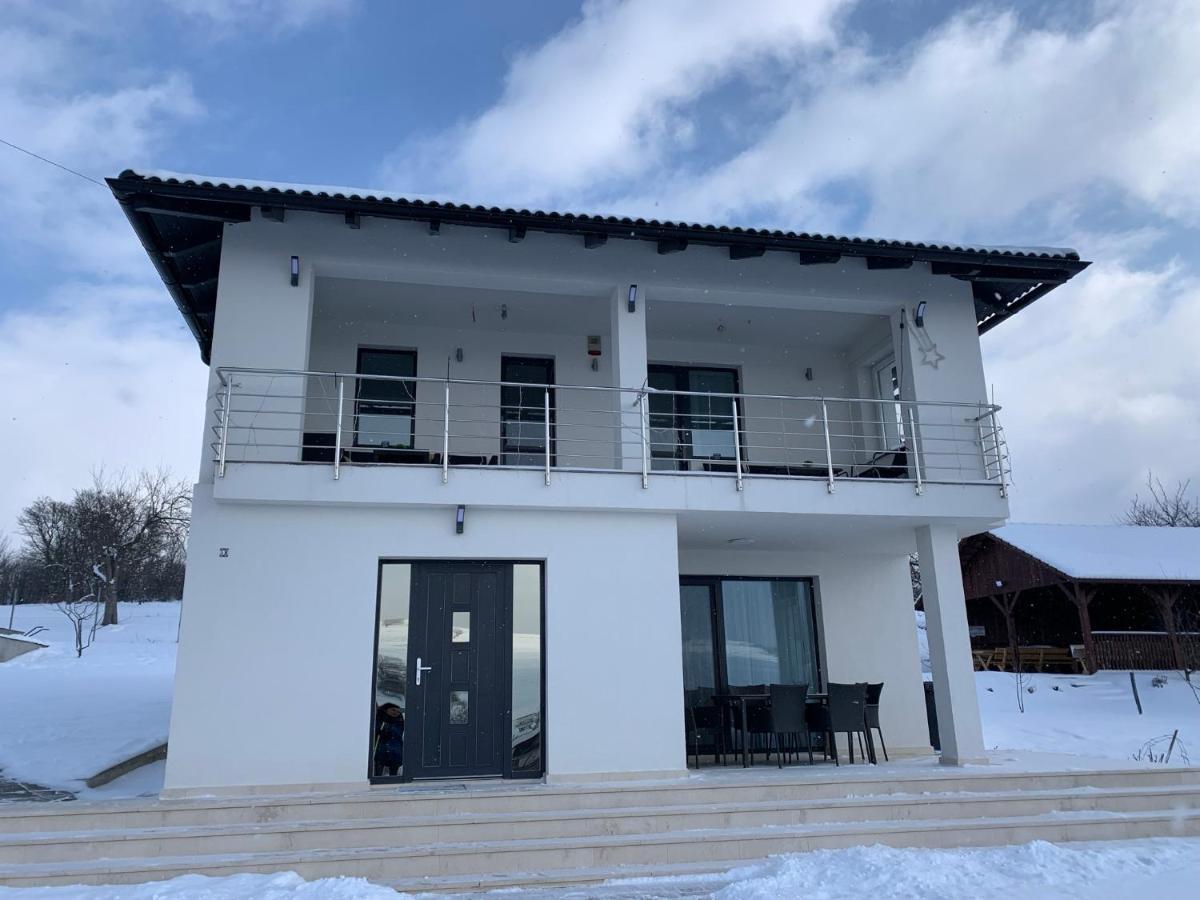 Viktoria House Villa Odorheiu Secuiesc Exterior photo